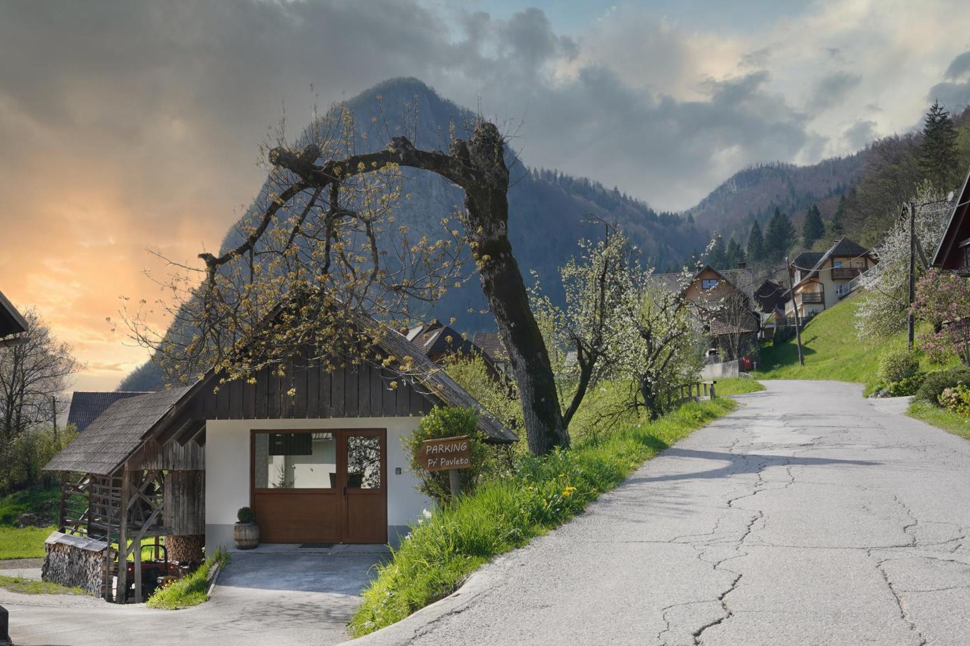 Apartments Pr' Pavleto Bohinj Bagian luar foto