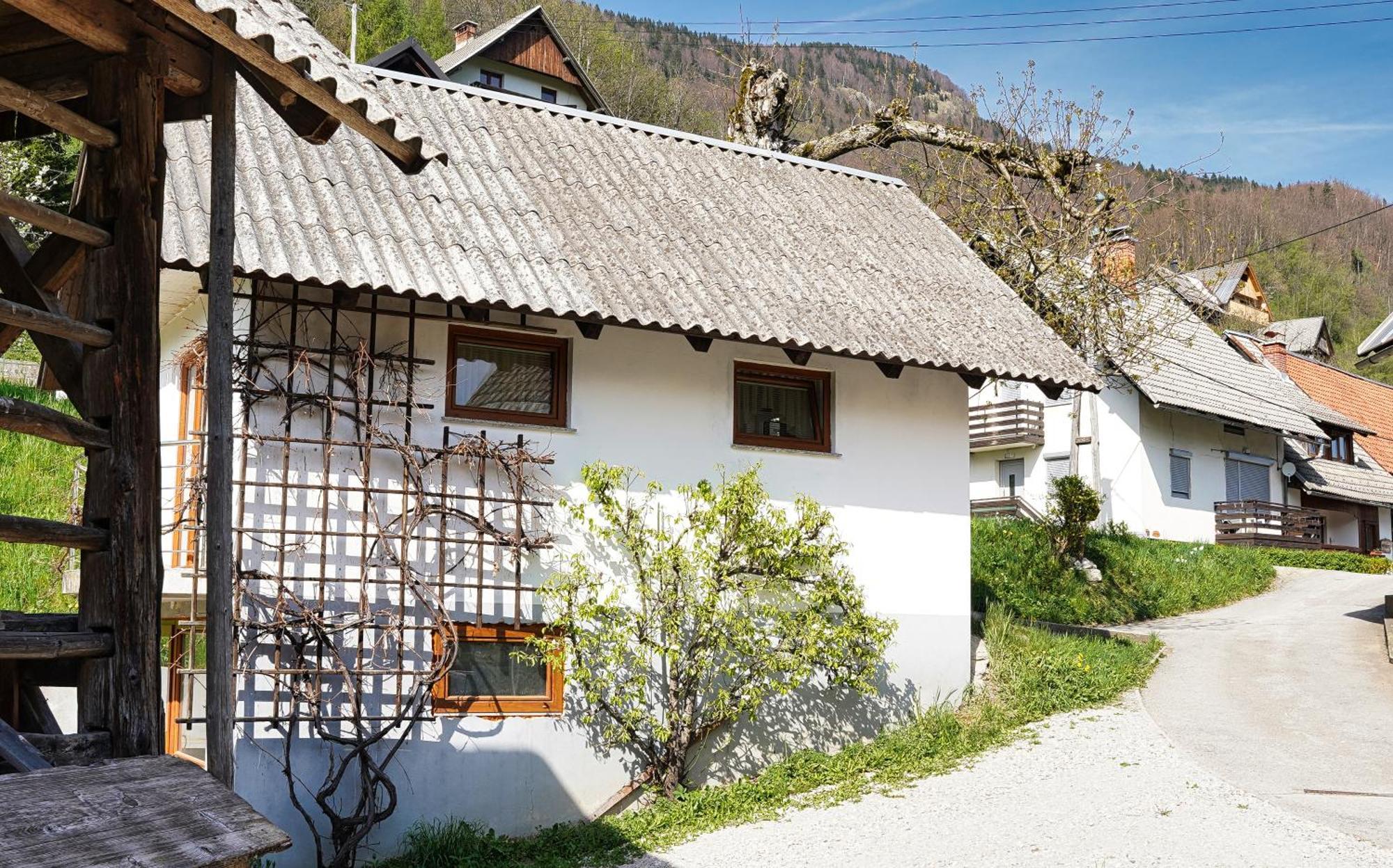 Apartments Pr' Pavleto Bohinj Bagian luar foto